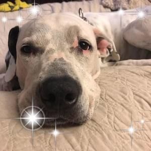 Meet your Posher, Cara